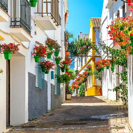Apartment Gorgeous 3-bedroom Penthouse With Expansive Terrace In Casares Costa